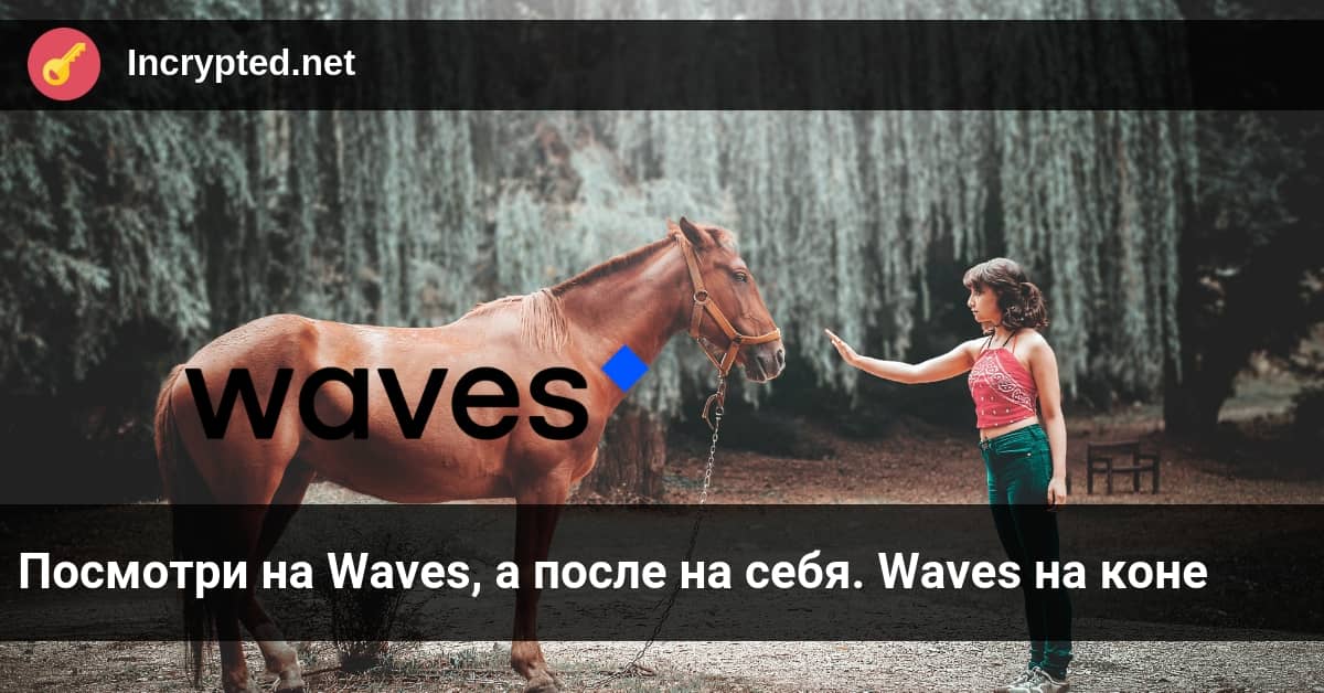 Waves на коне